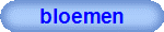 bloemen